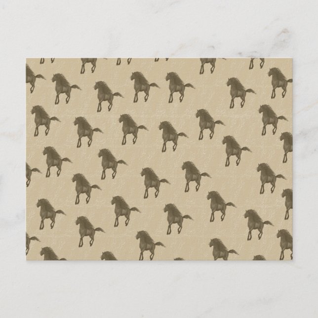 Postal Caballos (Anverso)