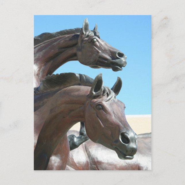 Postal Caballos (Anverso)