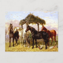 Caballos a orillas de un río en los años 1800