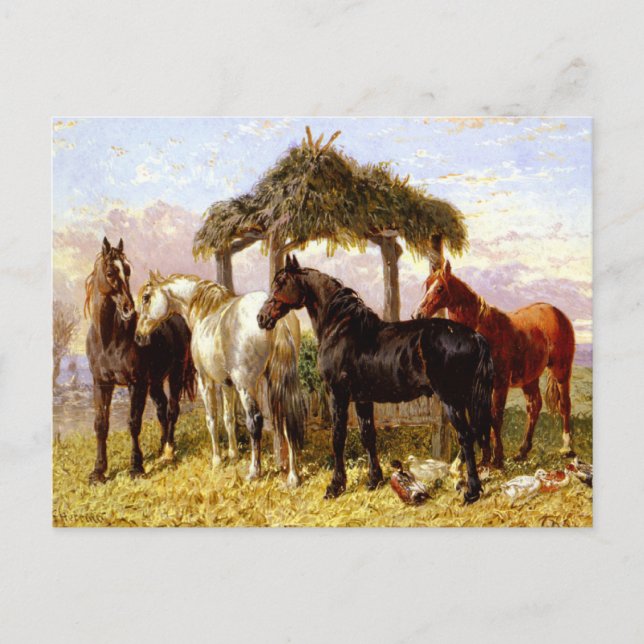 Postal Caballos a orillas de un río en los años 1800 (Anverso)