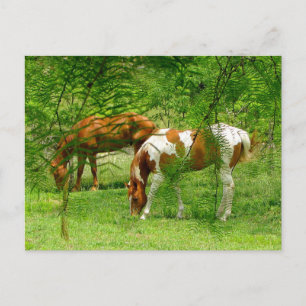 Postal Caballos a través de hojas de la plantilla de post