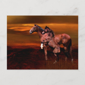 Postal Caballos al atardecer