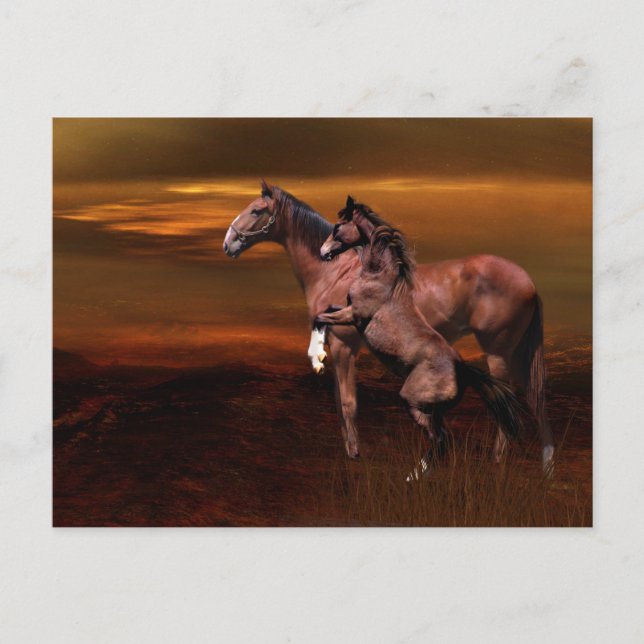 Postal Caballos al atardecer (Anverso)