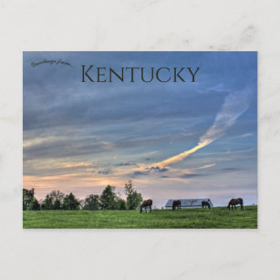 Postal Caballos al atardecer en Lexington Kentucky