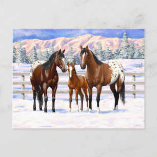 Postal Caballos Appaloosa De La Bahía Marrón En Nieve