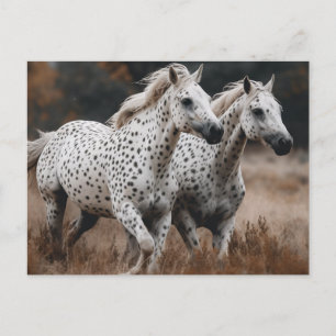 Postal Caballos Appaloosa de Leopardo Galloping