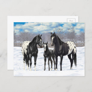 Postal Caballos Appaloosa Negros En Nieve