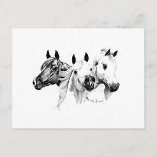 Postal Caballos Árabes