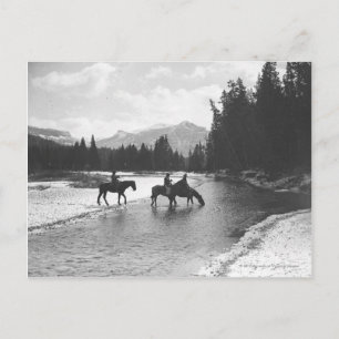 Postal Caballos bebiendo y cruzando un río