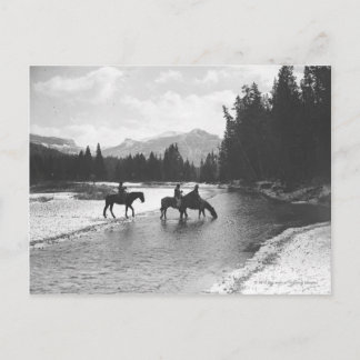 Postal Caballos bebiendo y cruzando un río