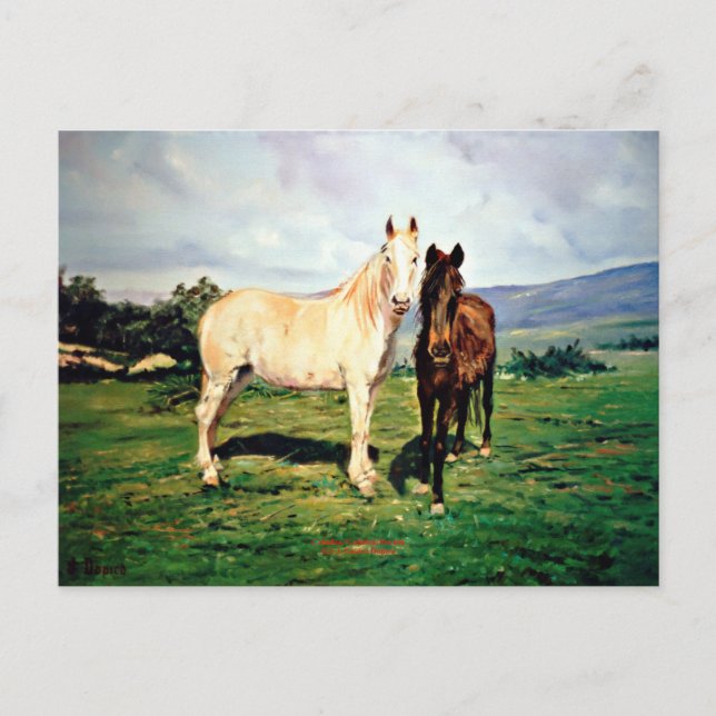 Postal Caballos/Cabalos/Horses (Anverso)