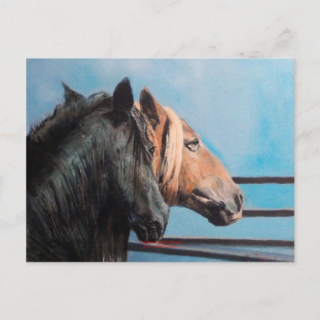 Postal Caballos/Cabalos/Horses (Anverso)
