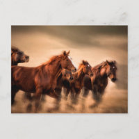 Caballos corriendo, desenfoque y crines voladoras