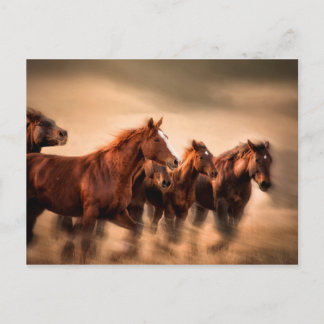 Postal Caballos corriendo, desenfoque y crines voladoras