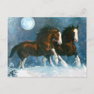 Postal Caballos Corriendo En La Nieve