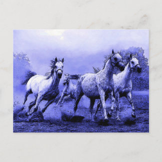 Postal Caballos corriendo y luz de luna azul
