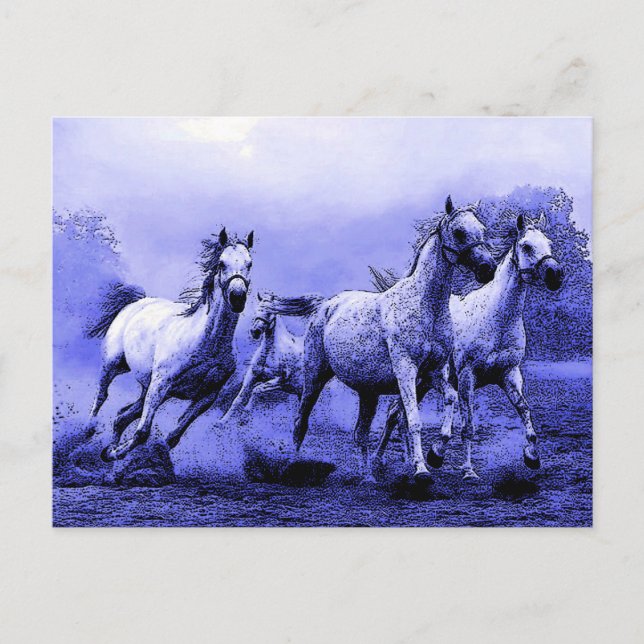 Postal Caballos corriendo y luz de luna azul (Anverso)