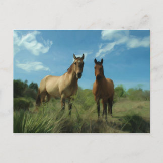 Postal Caballos curiosos