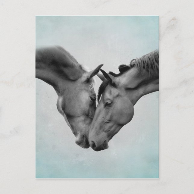 Postal Caballos de amor (Anverso)