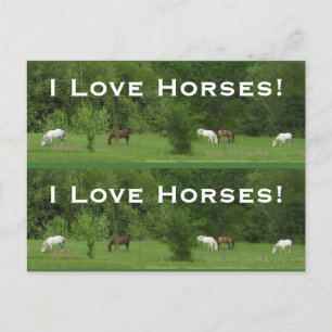 Postal ¡Caballos de amor! Marcadores - Personalizar!