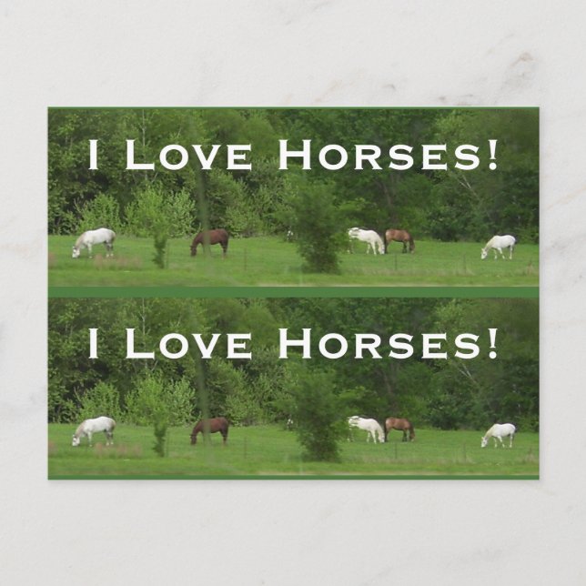 Postal ¡Caballos de amor! Marcadores - Personalizar! (Anverso)