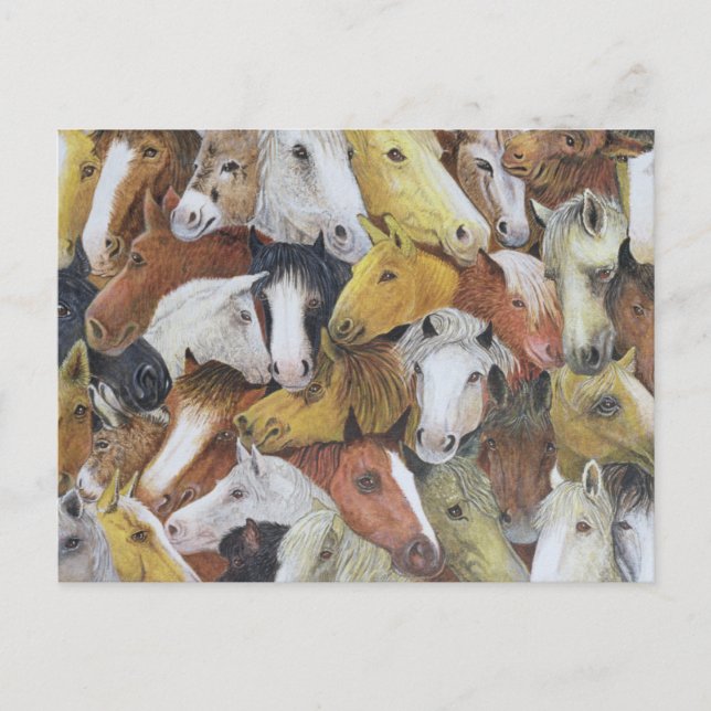 Postal Caballos de caballos (Anverso)