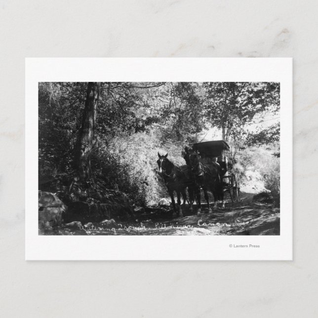 Postal Caballos de carga tomando un descanso (Anverso)