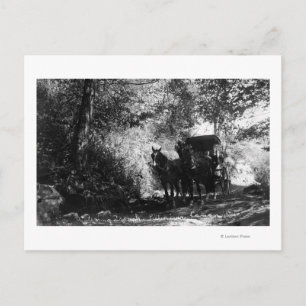 Postal Caballos de carga tomando un descanso