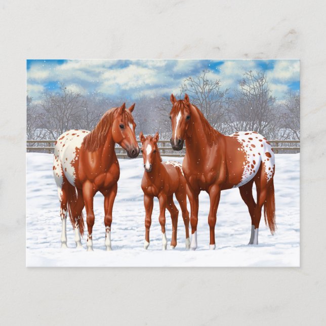Postal Caballos de castaño y de sorrel de appaloosa en ni (Anverso)