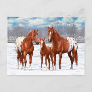 Postal Caballos de castaño y de sorrel de appaloosa en ni