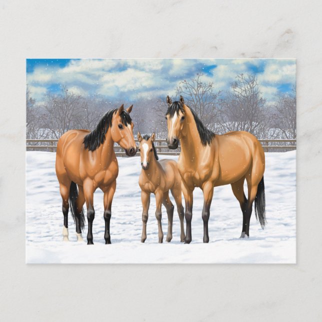 Postal Caballos De Cuero De Cuello En Nieve (Anverso)
