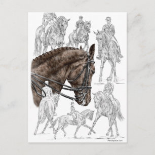 Postal Caballos de Dressage recopilados FEI