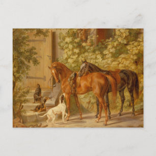 Postal Caballos de época en el Albrecht Porch Adam