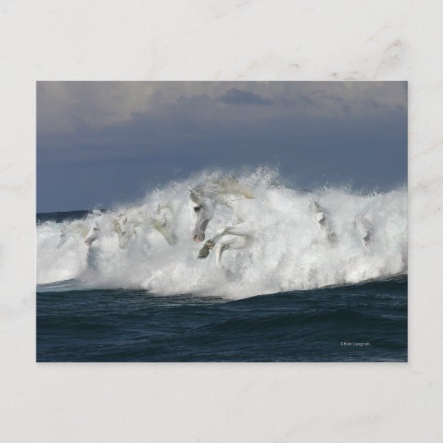 Postal Caballos de fantasía: mar (Anverso)