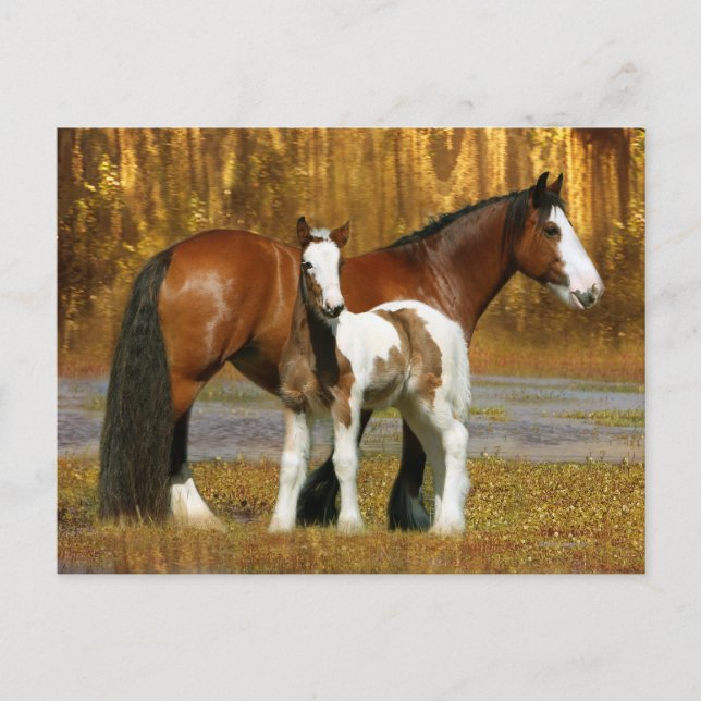 Postal Caballos de fantasía: Mare y Foal (Anverso)