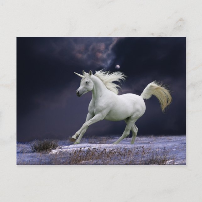 Postal Caballos de fantasía: Unicornio (Anverso)