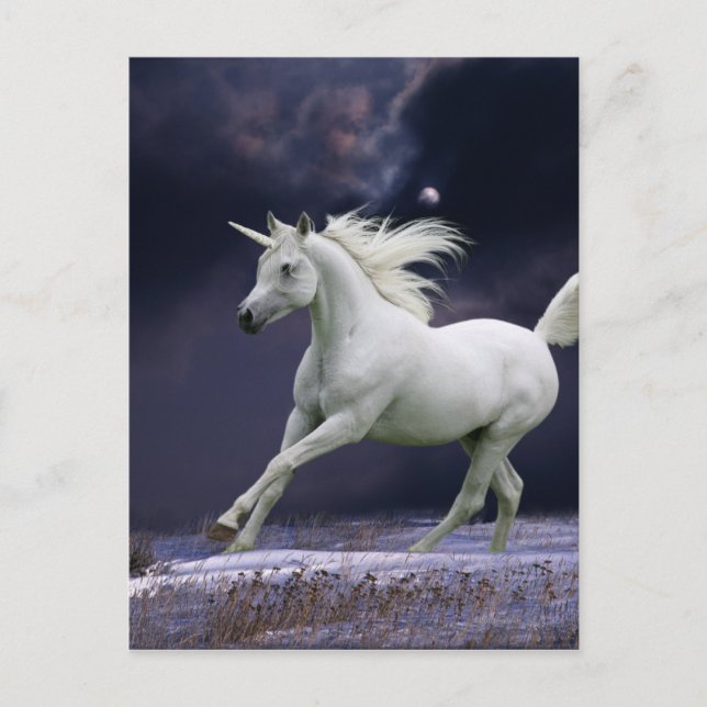 Postal Caballos de fantasía: Unicornio (Anverso)
