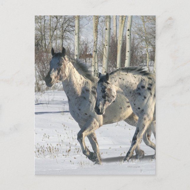 Postal Caballos de fantasía: Winter Wonderland (Anverso)