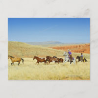 Caballos de ganado