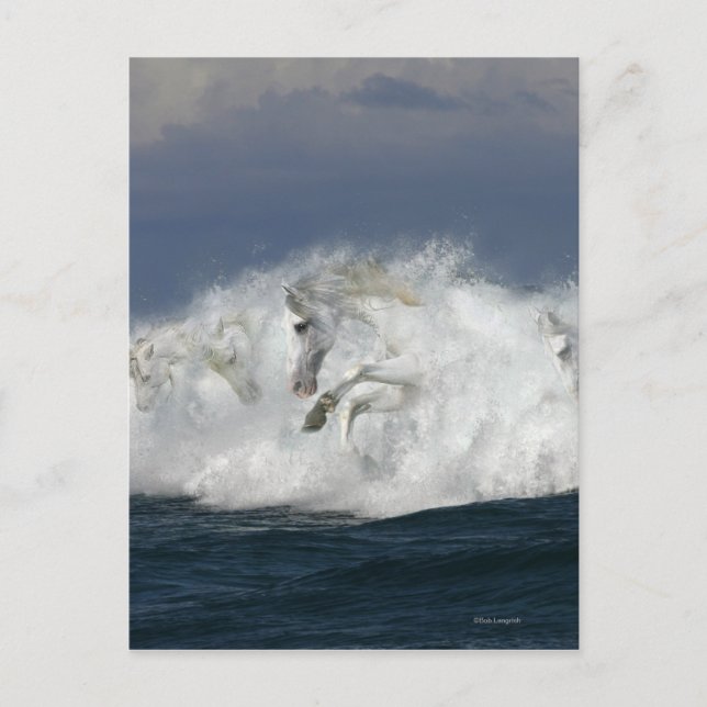 Postal Caballos de la fantasía: Mar (Anverso)