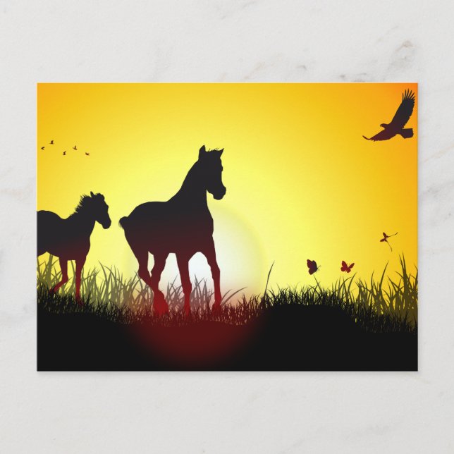 Postal caballos de la mañana (Anverso)