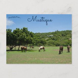Postal Caballos de moda en Mustique