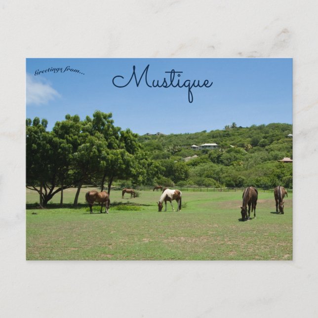Postal Caballos de moda en Mustique (Anverso)