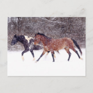 Postal Caballos de nieve de invierno en el granero