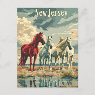 Postal Caballos de Nueva Jersey