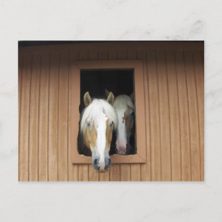 Postal Caballos de Palamino en un granero en Colorado