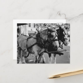 Postal Caballos de trabajo de Savannah