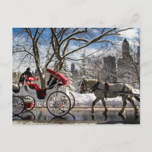 Postal Caballos de transporte de invierno en Central Park (Anverso)