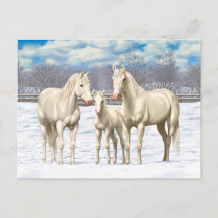 Postal Caballos del Cuartel Blanco En Nieve