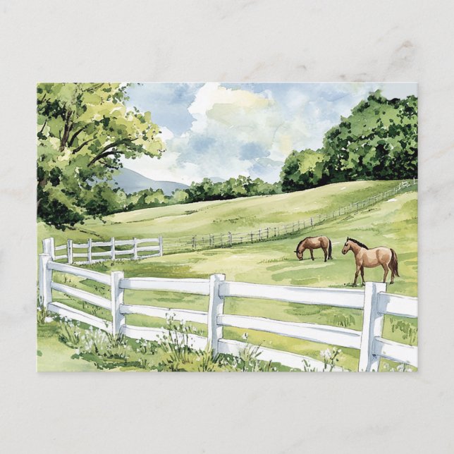Postal Caballos del Rancho Green Pastures (Anverso)